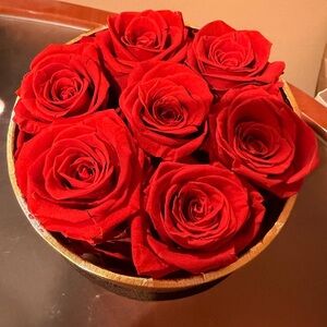 Vibrant Red Roses in Gold-Toned Bowl
